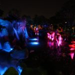 IMG_9927