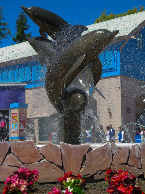 , Bay Area Parks Update – Wonder Woman and Red, White and Brews