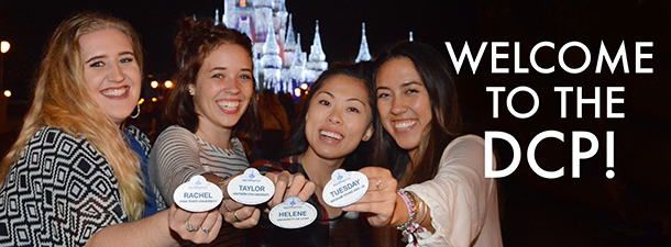 the Tparty in front of the Castle at Walt Disney World