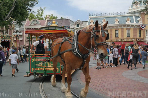 , Disneyland Photo Update: Summer Has Arrived at the Happiest Place on Earth