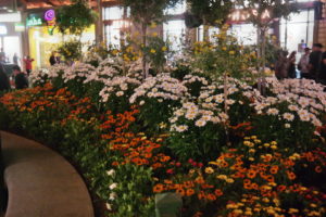 , Disneyland Resort Photo Update: Summer of Marvel
