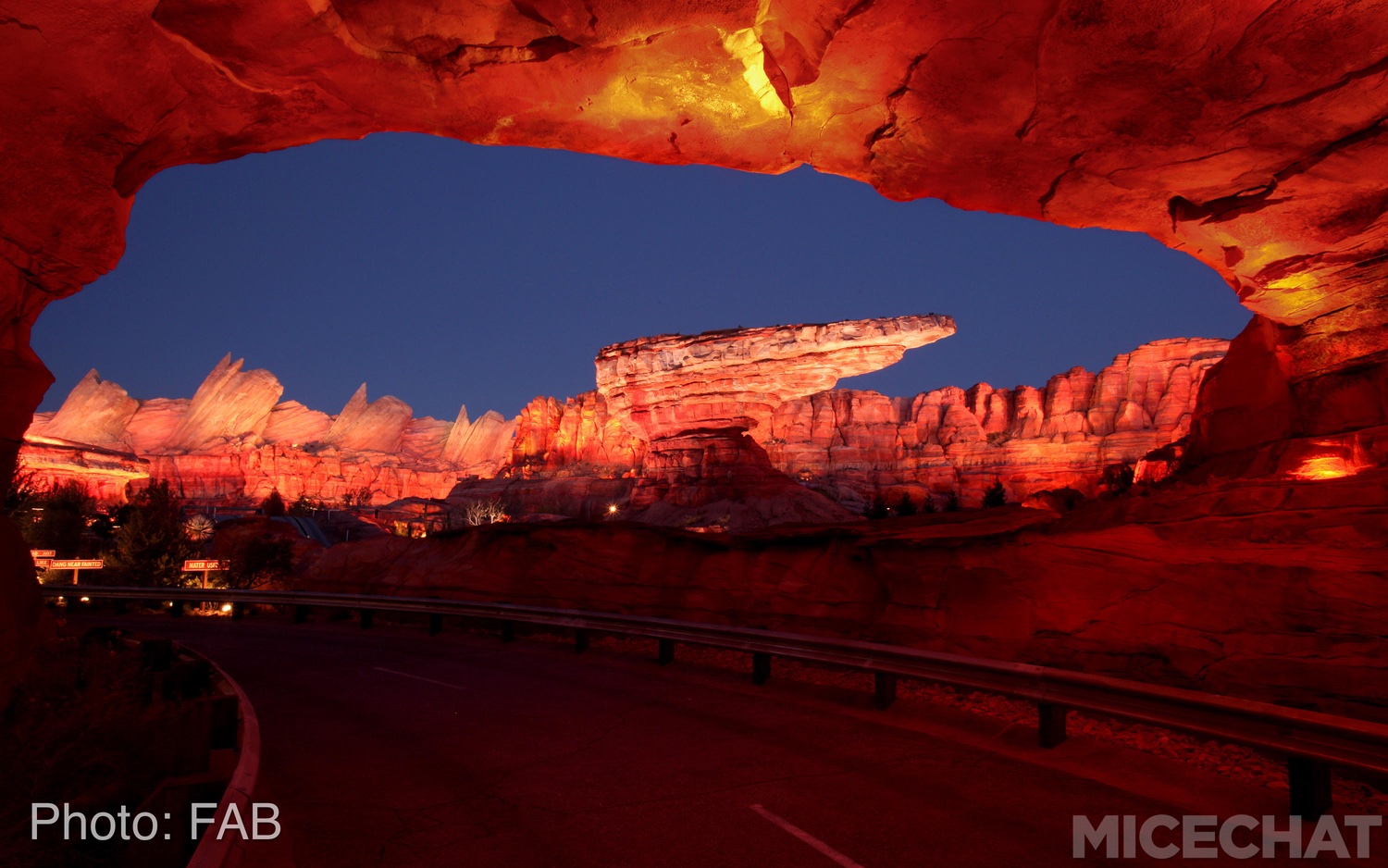 , Disneyland Update – Survey Says & Jungle News!