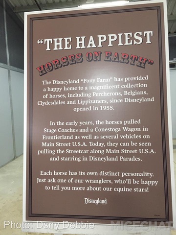 , Disneyland Photo Update – Any Way You Slice It Folks, You Still Come Out Ahead