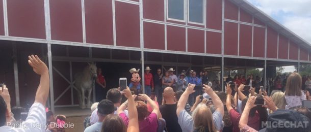 , Disneyland Photo Update – Any Way You Slice It Folks, You Still Come Out Ahead