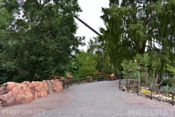 , Disneyland Photo Update &#8211; Any Way You Slice It Folks, You Still Come Out Ahead