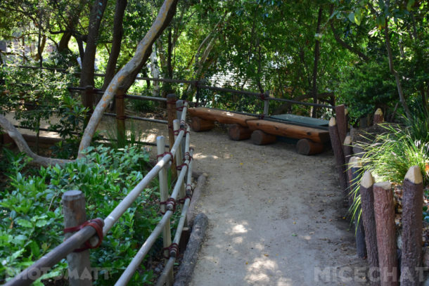 , Disneyland Photo Update – The Big Return