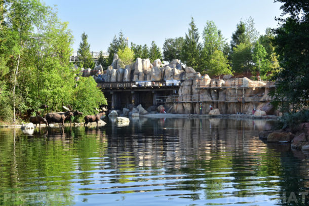 , Disneyland Photo Update – The Big Return