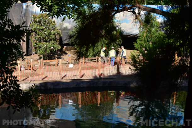 , Disneyland Photo Update – The Big Return