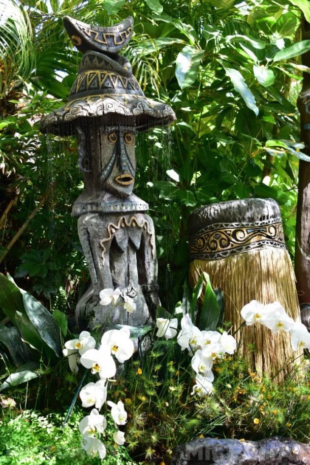 , Disneyland Photo Update – The Big Return