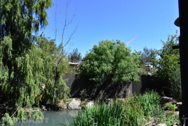 , Disneyland Photo Update – The Big Return
