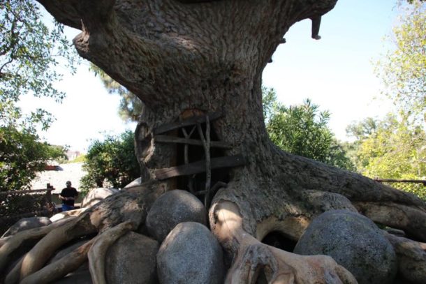 , Tom Sawyer&#8217;s Island Now Open!