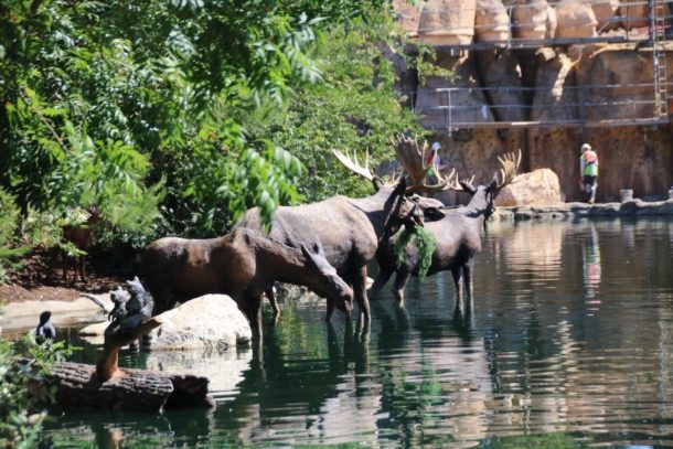 , Tom Sawyer&#8217;s Island Now Open!