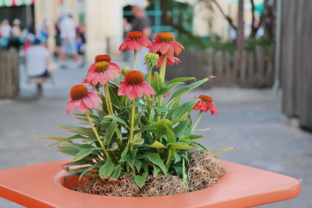 , DCA Photo Update: Summer Around California