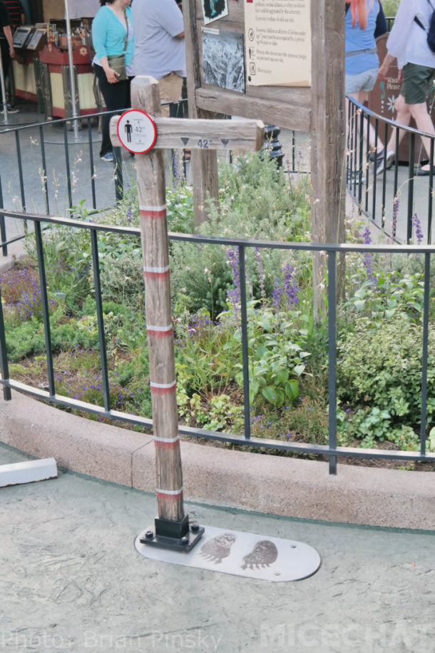 , Disneyland News & Photo Update – Taking it to the MaxPass