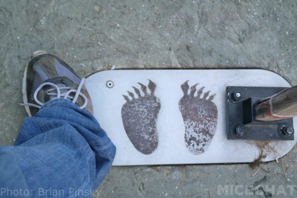 , Disneyland News & Photo Update – Taking it to the MaxPass