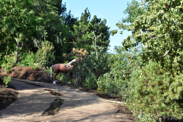 , Disneyland Special Update – Disneyland Classic River and Railroad Return