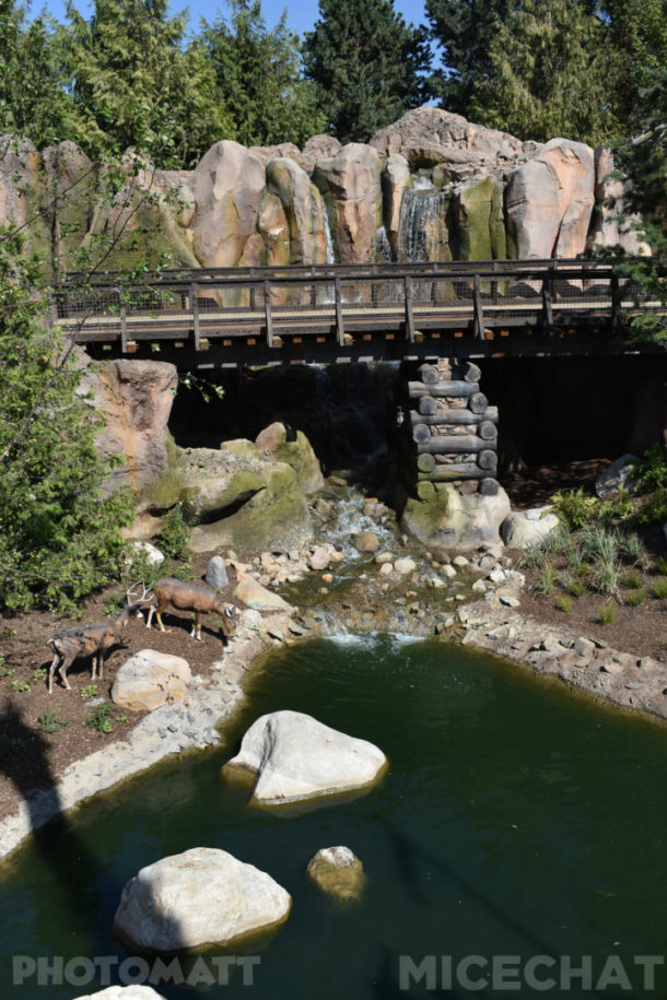 , Disneyland Special Update – Disneyland Classic River and Railroad Return