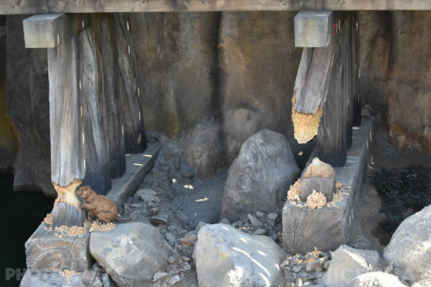 , Disneyland Special Update – Disneyland Classic River and Railroad Return
