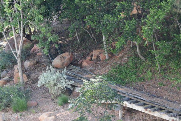 , Disneyland Special Update – Disneyland Classic River and Railroad Return