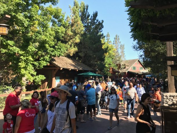 , DCA Photo & News Update – Heroes, Zeroes and Halloween