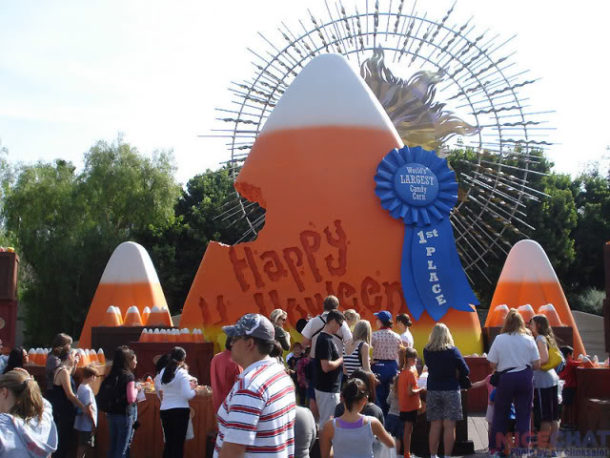 , DCA Photo & News Update – Heroes, Zeroes and Halloween