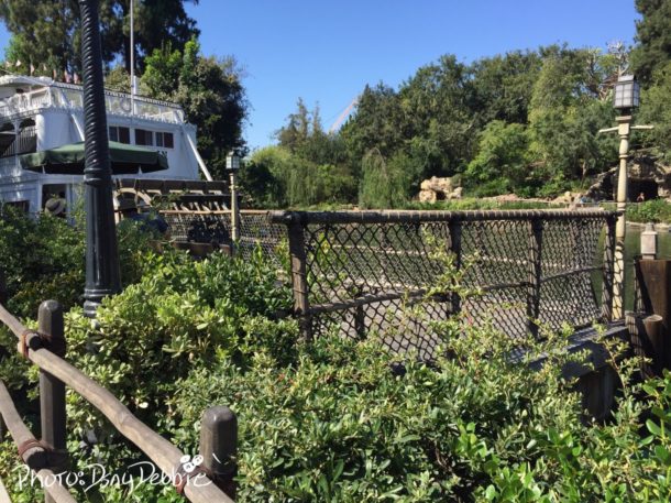 , Disneyland News & Photo Update – Taking it to the MaxPass