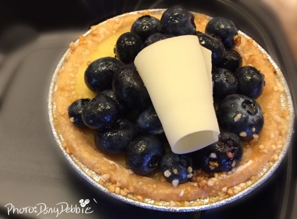 , Disneyland News & Photo Update – Taking it to the MaxPass