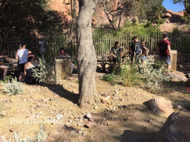 , Disneyland News & Photo Update – Taking it to the MaxPass