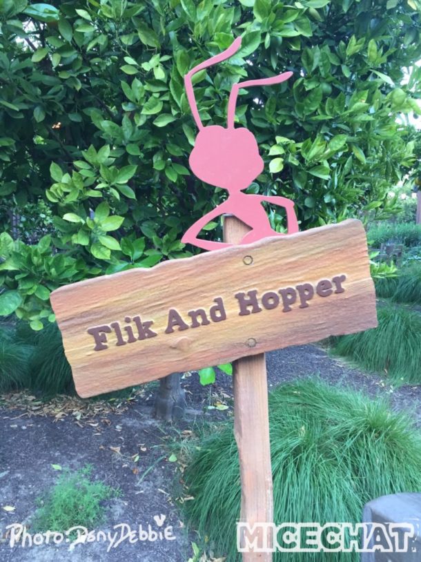 , DCA Photo Update – Farewell to Bugs