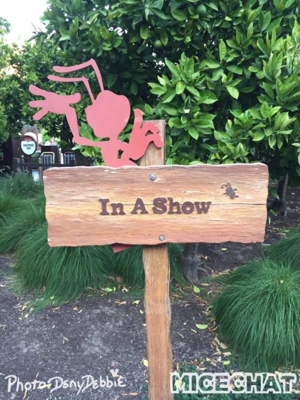 , DCA Photo Update – Farewell to Bugs