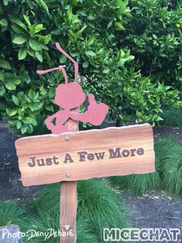 , DCA Photo Update – Farewell to Bugs