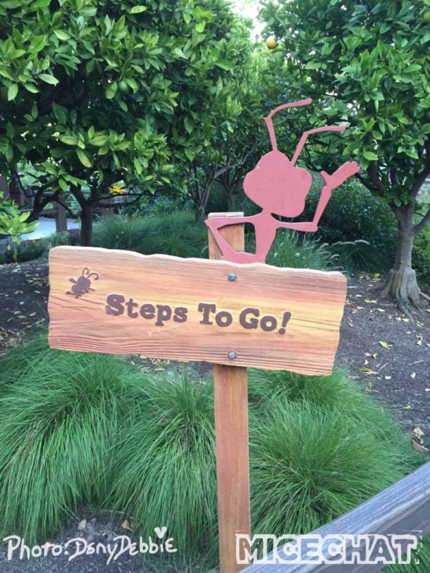 , DCA Photo Update – Farewell to Bugs