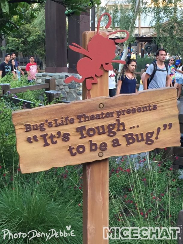 , DCA Photo Update – Farewell to Bugs