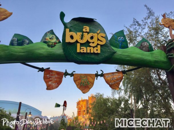 , DCA Photo Update – Farewell to Bugs