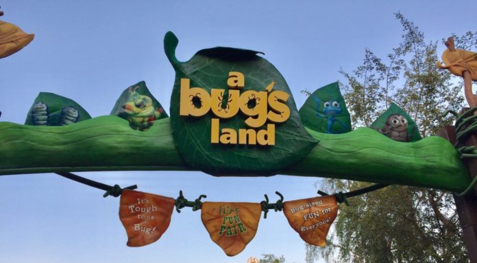 DCA Photo Update – Farewell to Bugs