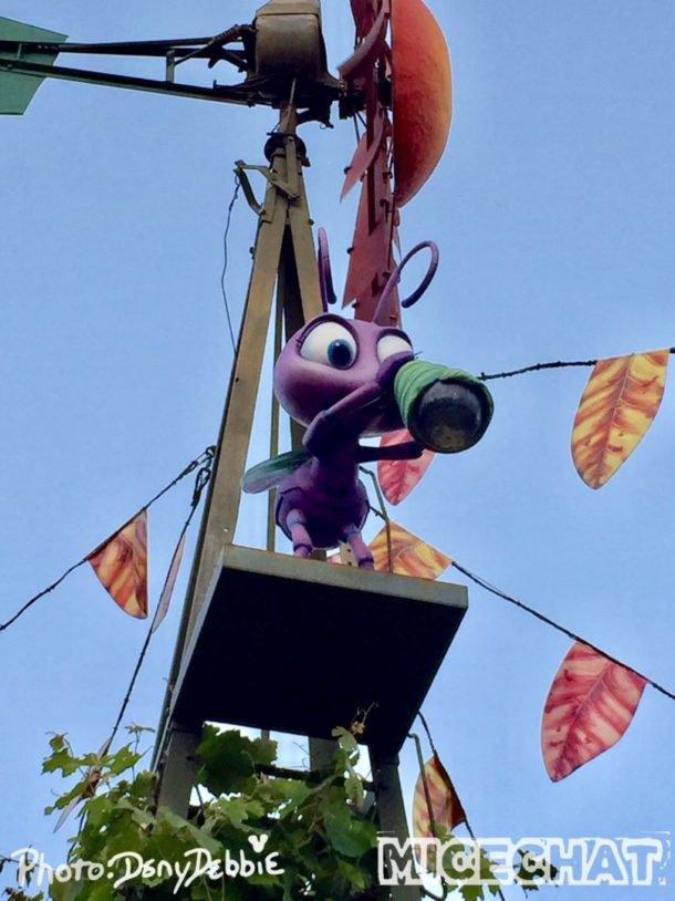 , DCA Photo Update – Farewell to Bugs