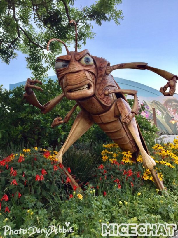 , DCA Photo Update – Farewell to Bugs