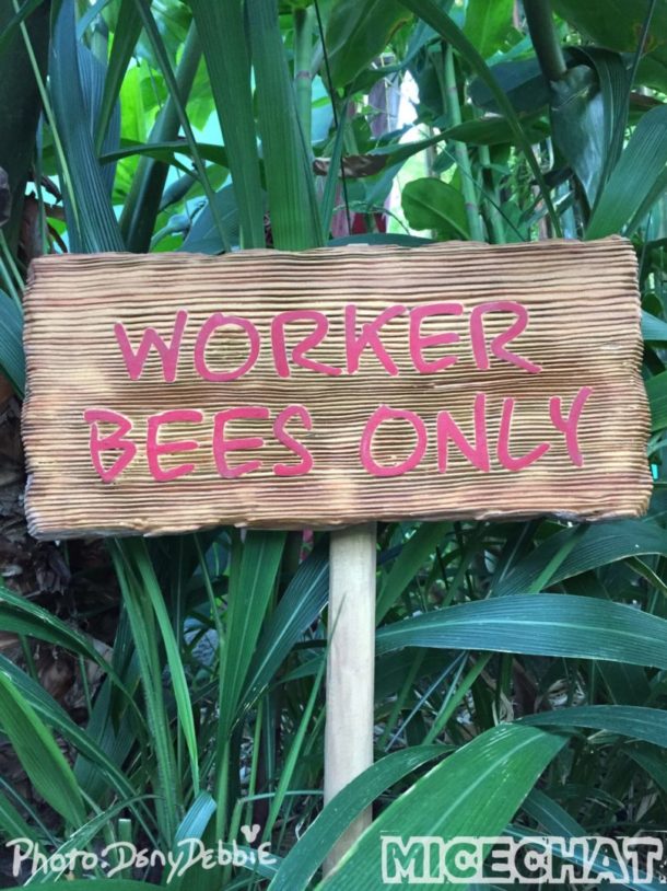 , DCA Photo Update – Farewell to Bugs