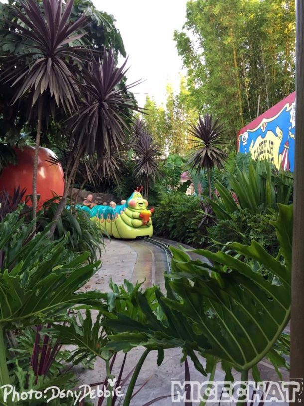 , DCA Photo Update – Farewell to Bugs
