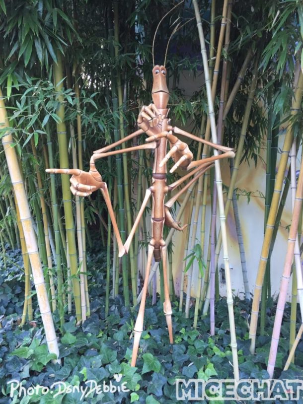 , DCA Photo Update – Farewell to Bugs