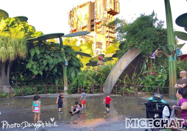 , DCA Photo Update – Farewell to Bugs
