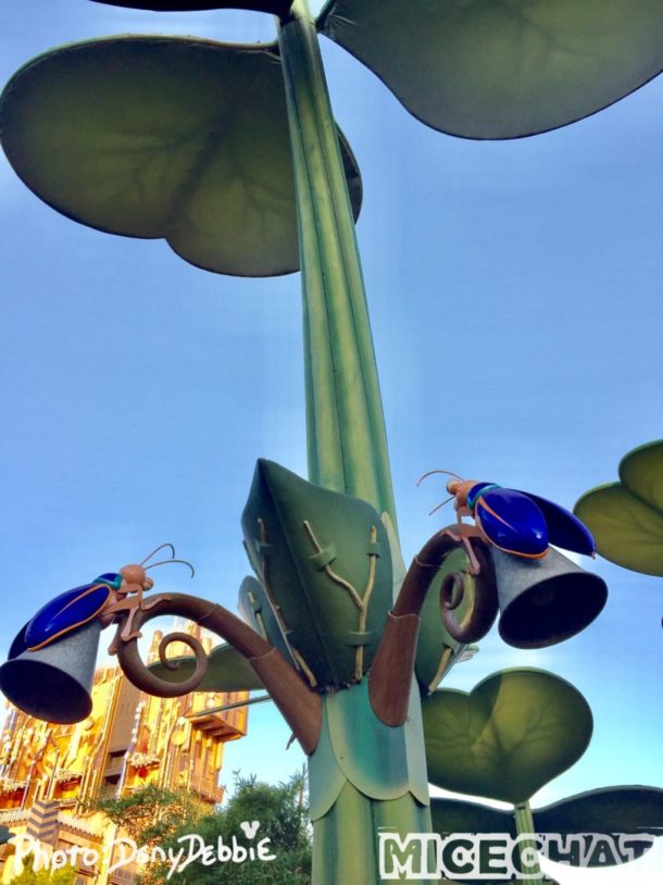 , DCA Photo Update – Farewell to Bugs