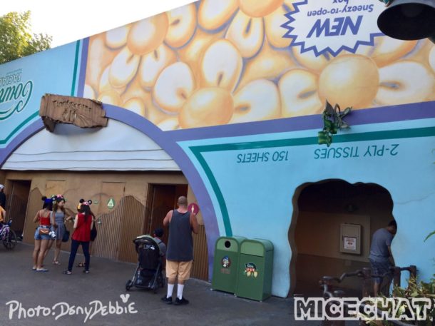 , DCA Photo Update – Farewell to Bugs