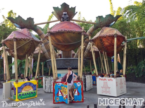 , DCA Photo Update – Farewell to Bugs