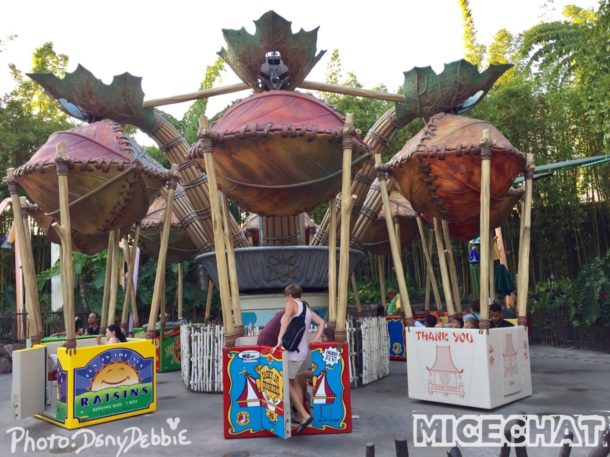 , DCA Photo Update &#8211; Farewell to Bugs