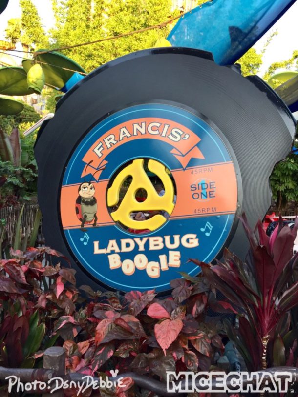 , DCA Photo Update – Farewell to Bugs