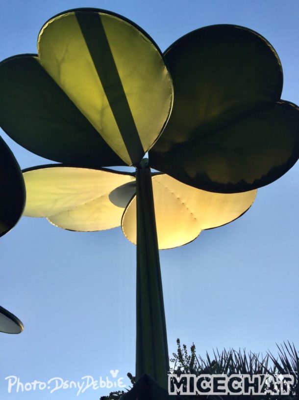 , DCA Photo Update – Farewell to Bugs