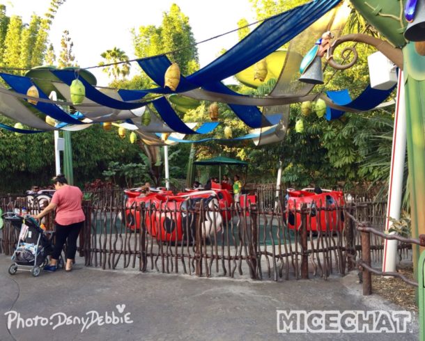 , DCA Photo Update – Farewell to Bugs