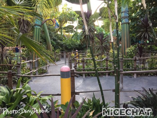 , DCA Photo Update – Farewell to Bugs