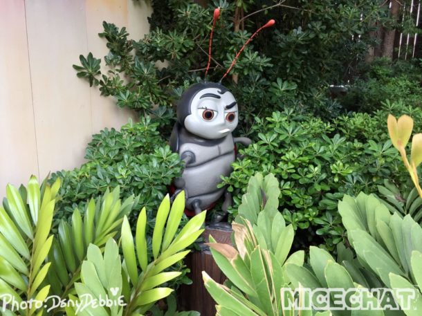 , DCA Photo Update – Farewell to Bugs